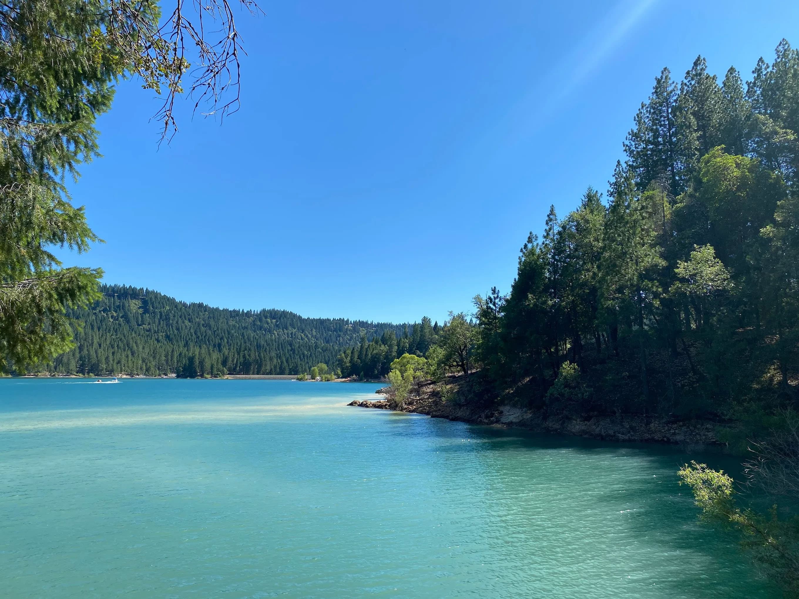 Bear Valley Resident Camp — retreat backdrop