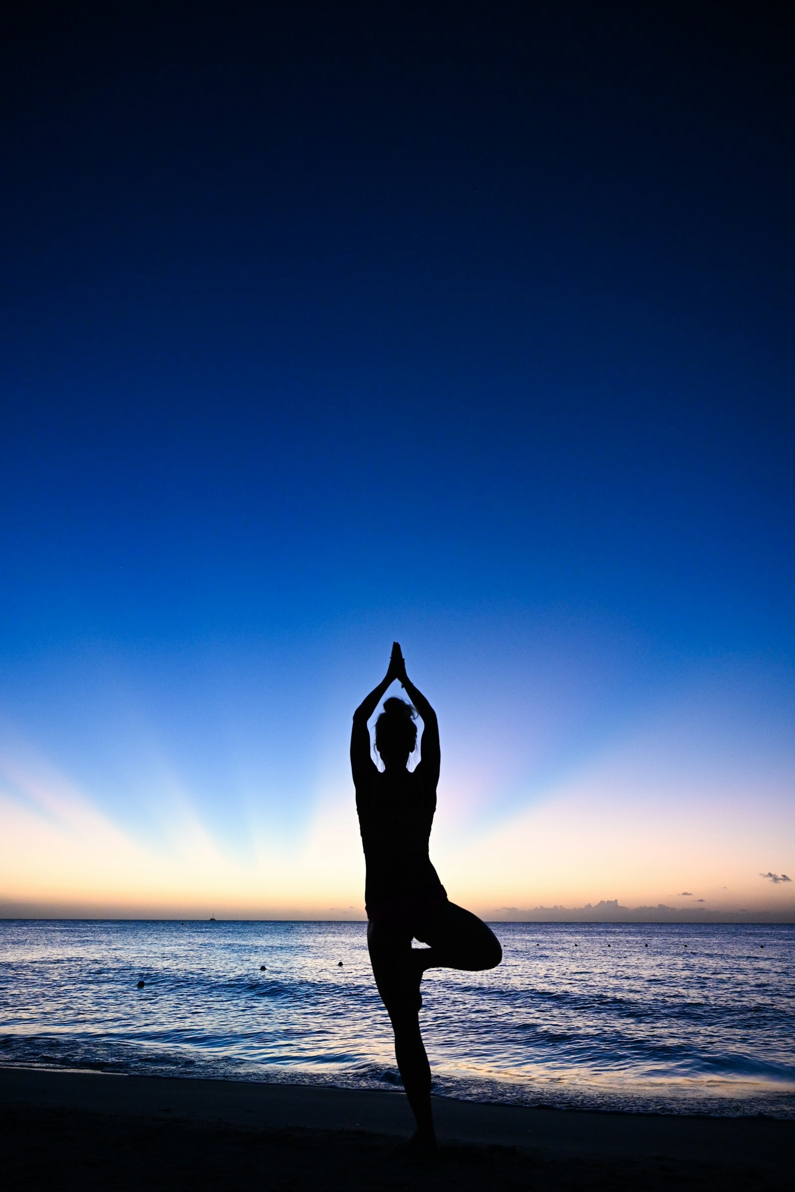Yoga tree-pose silhouette against deep blue twilight.